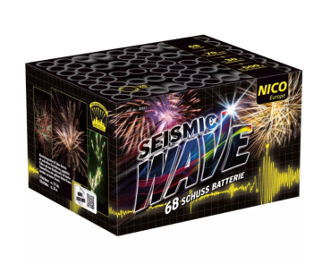 Seismic Wave
